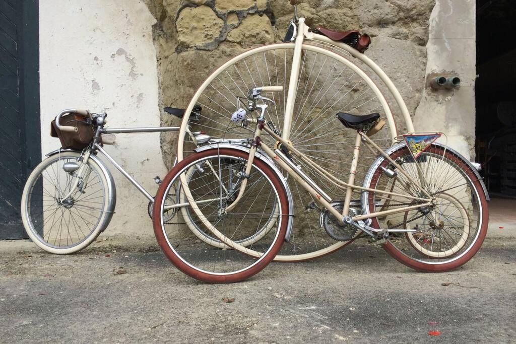 Tour De France Historique Et Chateaux De Loire ออร์เลออง ภายนอก รูปภาพ